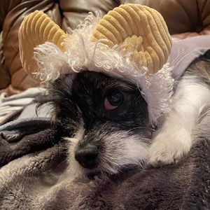 Meet your Posher, Kellie